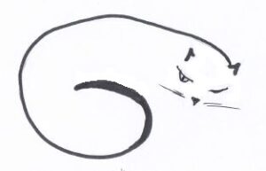 Napping Cat School of Strategy Logo